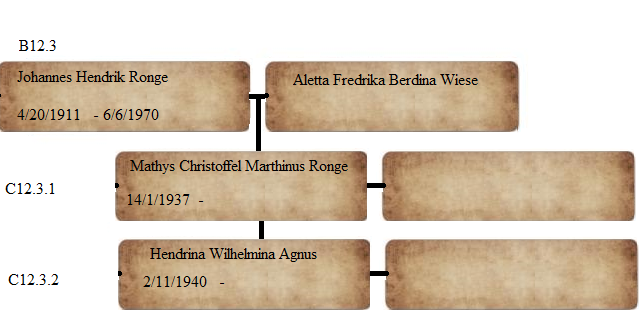 B12.3_Johannes_Hendrik_Ronge