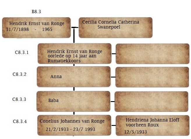 B8.3_Hendrik_Ernst_van_Ronge