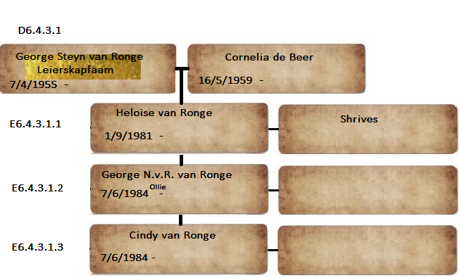 D6.4.3.1_George_Steyn_van_Ronge